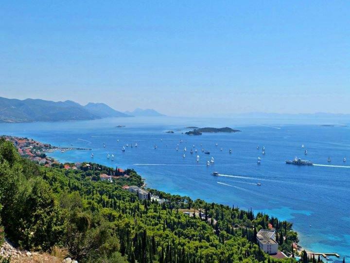 Apartmani Villa Lidija Orebić Buitenkant foto